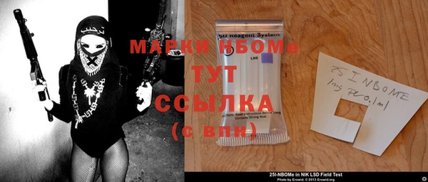 бошки Новодвинск