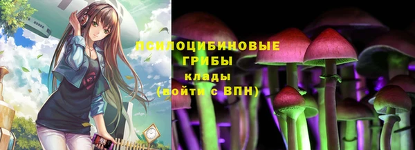 кокс Алексин