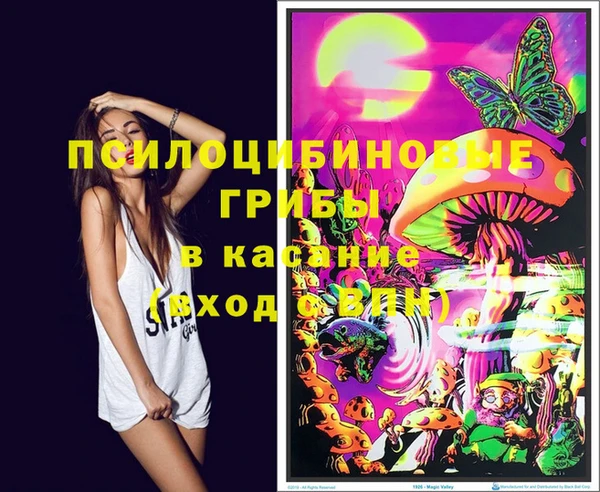 кокс Алексин