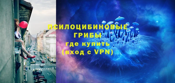 бошки Новодвинск