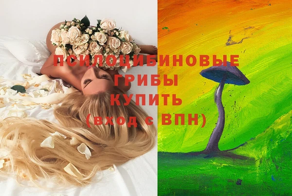 соль ск Алзамай