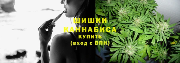 соль ск Алзамай