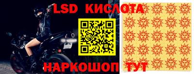 крисы Славгород