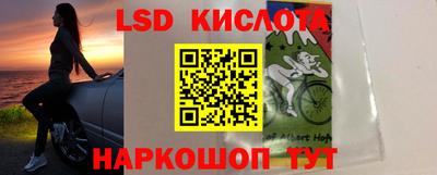 крисы Славгород