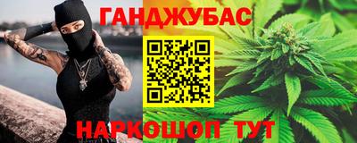 крисы Славгород