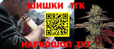 крисы Славгород