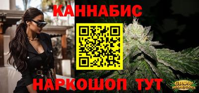 крисы Славгород