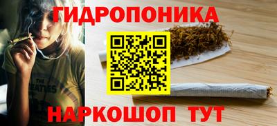 прущие крисы Сланцы