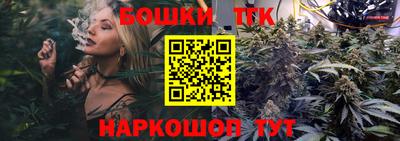 крисы Славгород
