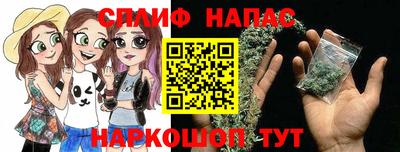крисы Славгород
