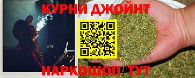 крисы Славгород