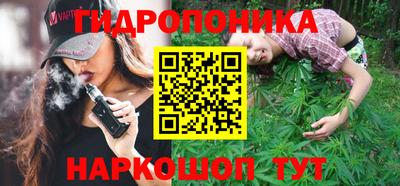 прущие крисы Сланцы
