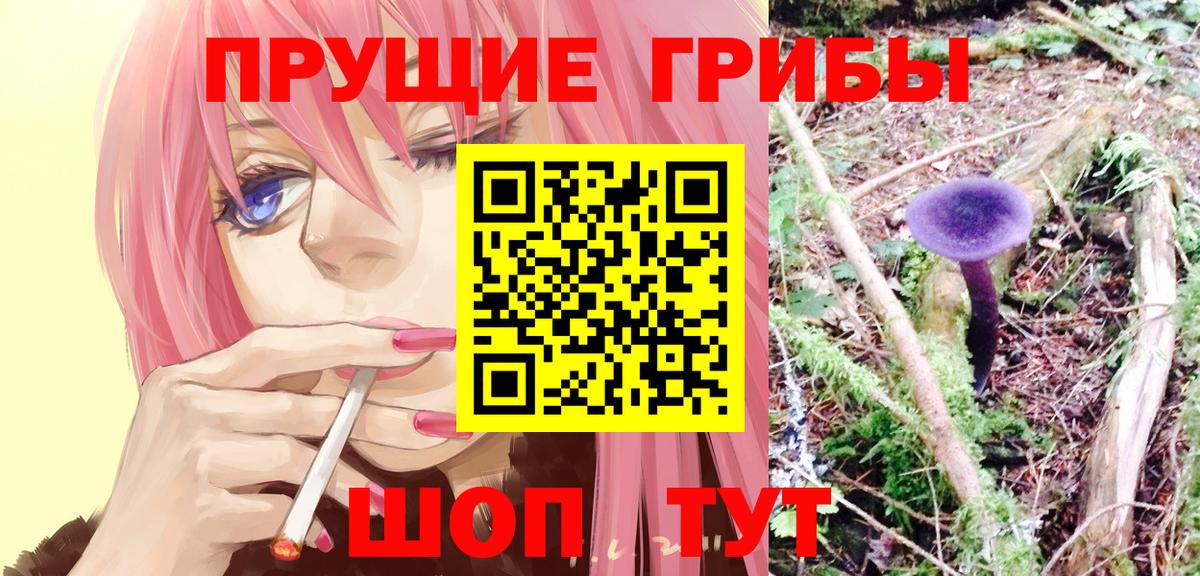 Галлюциногенные грибы Psilocybe Балашиха
